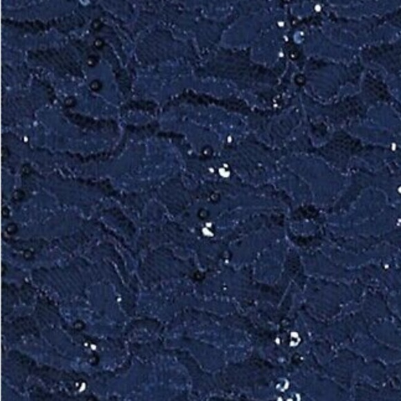 NEW Alex Evenings Sequin Lace Sheath Dress Size 16 - Picture 6 of 9